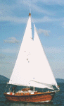 TERN-sailing.gif (118909 bytes)