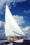Traveller-III-sailing.gif (66254 bytes)