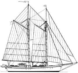 Tree-of-Life---sailplan.gif (44480 bytes)